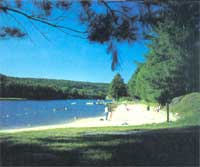 Moving to Rural Southern Alleghenies